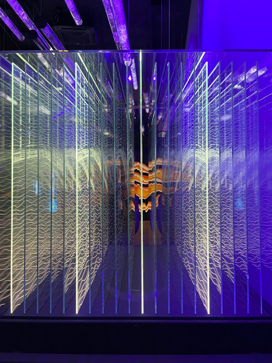 Begehbare LED-Installation